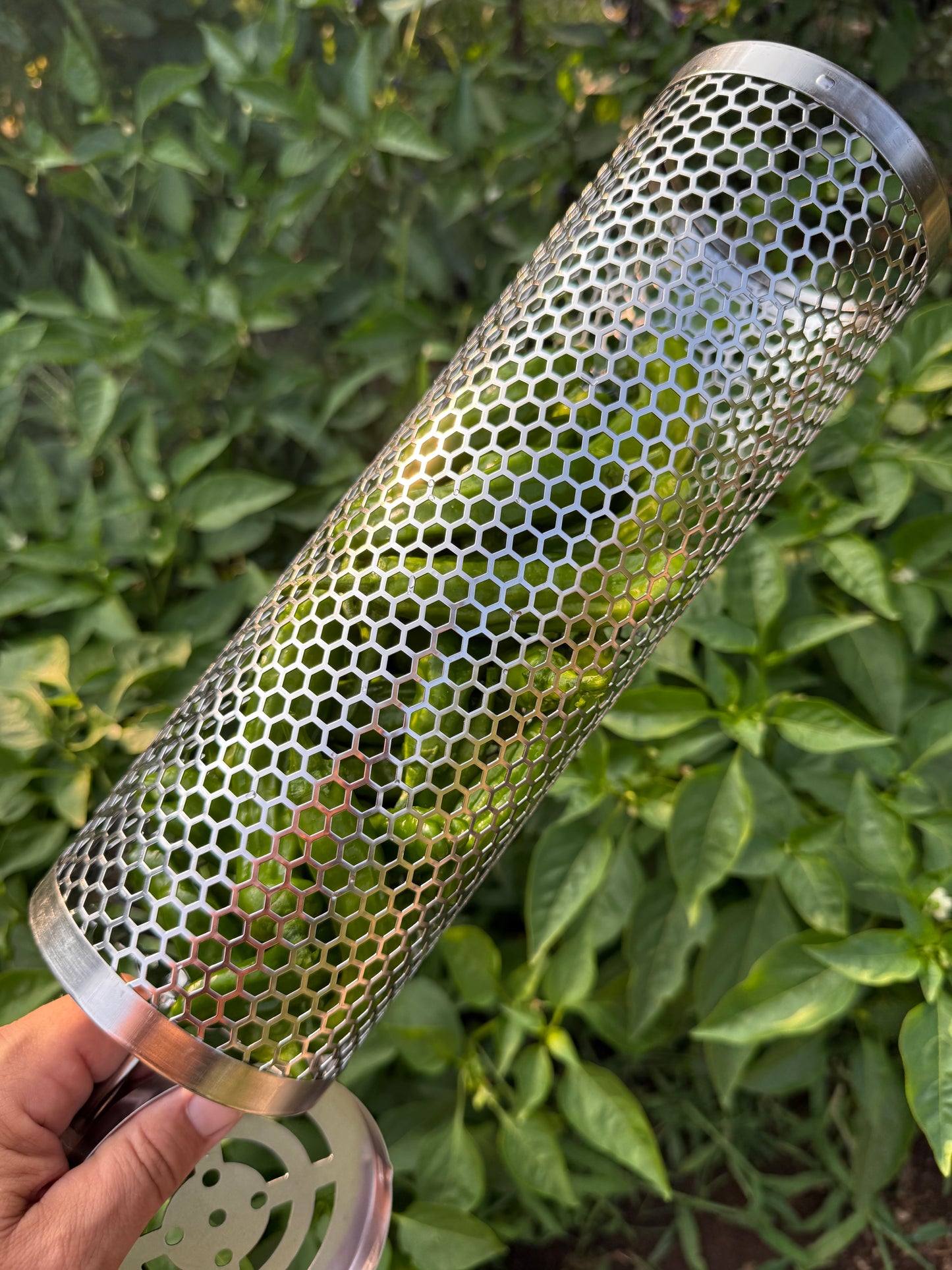 Salty Shishito Chile Grinder