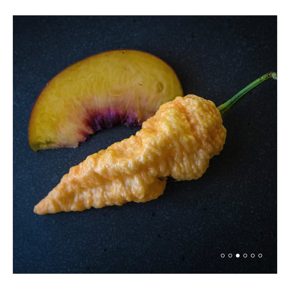 Jays Peach Ghost Pepper Plant Coming Soon!