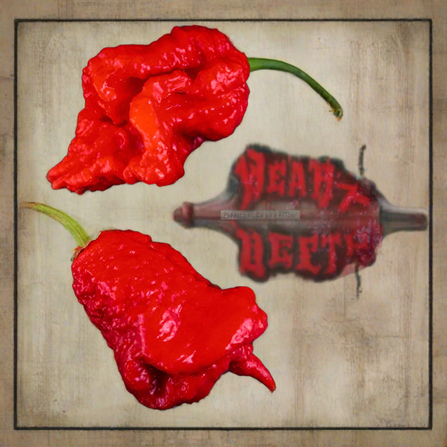 Carolina Reaper Pepper Plant 3.5" Available Now
