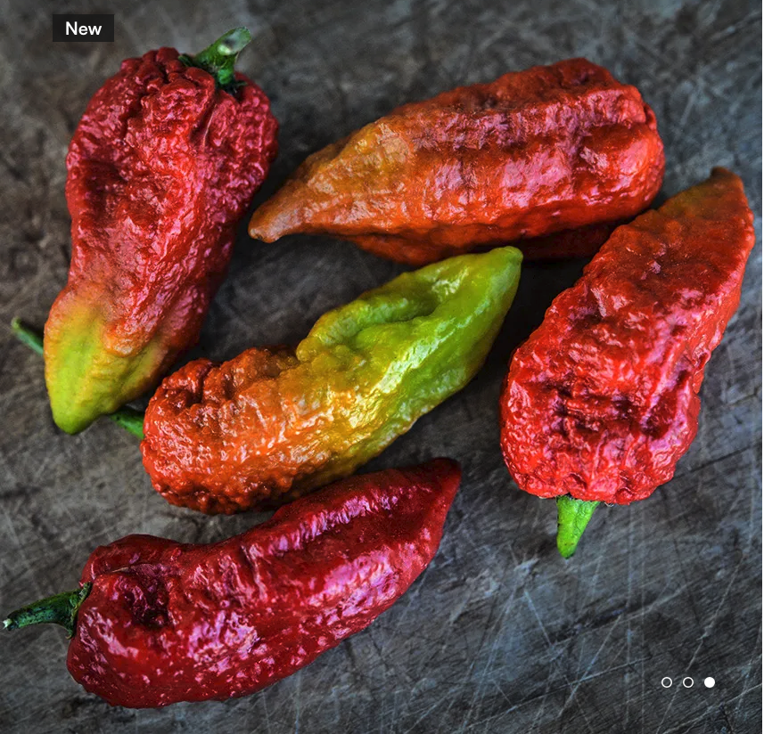 Leviathan Gnarly Carmel Scorpion Pepper Plant Coming Soon!