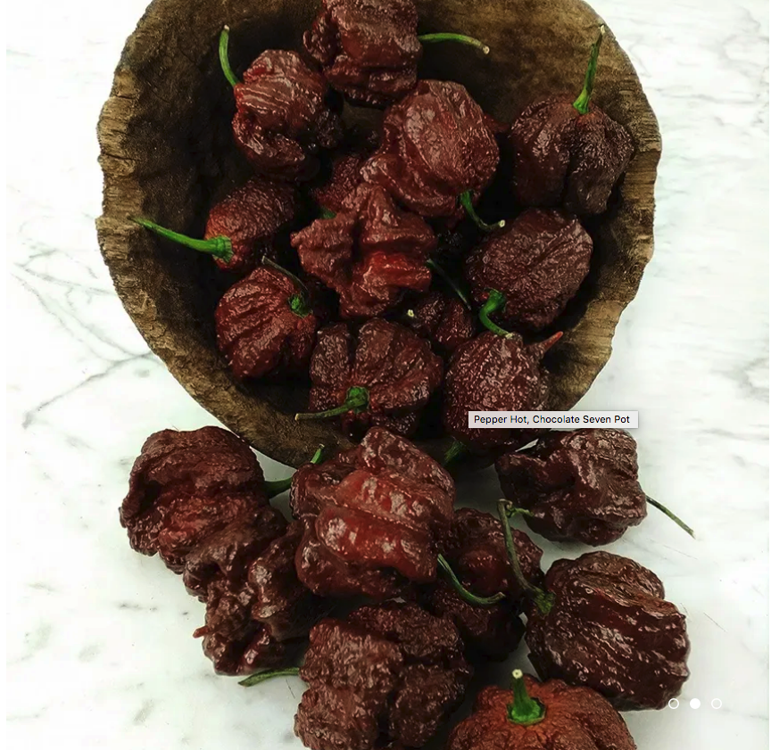 Chocolate Seven Pot Pepper Plant 3.5"