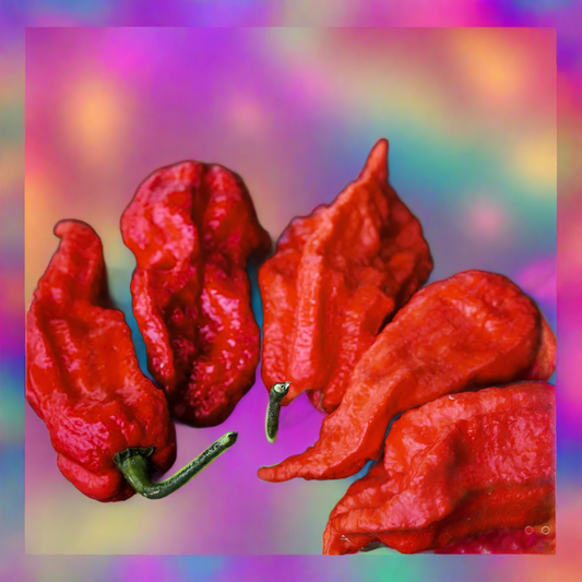 Ghost Pepper Plant 3.5"