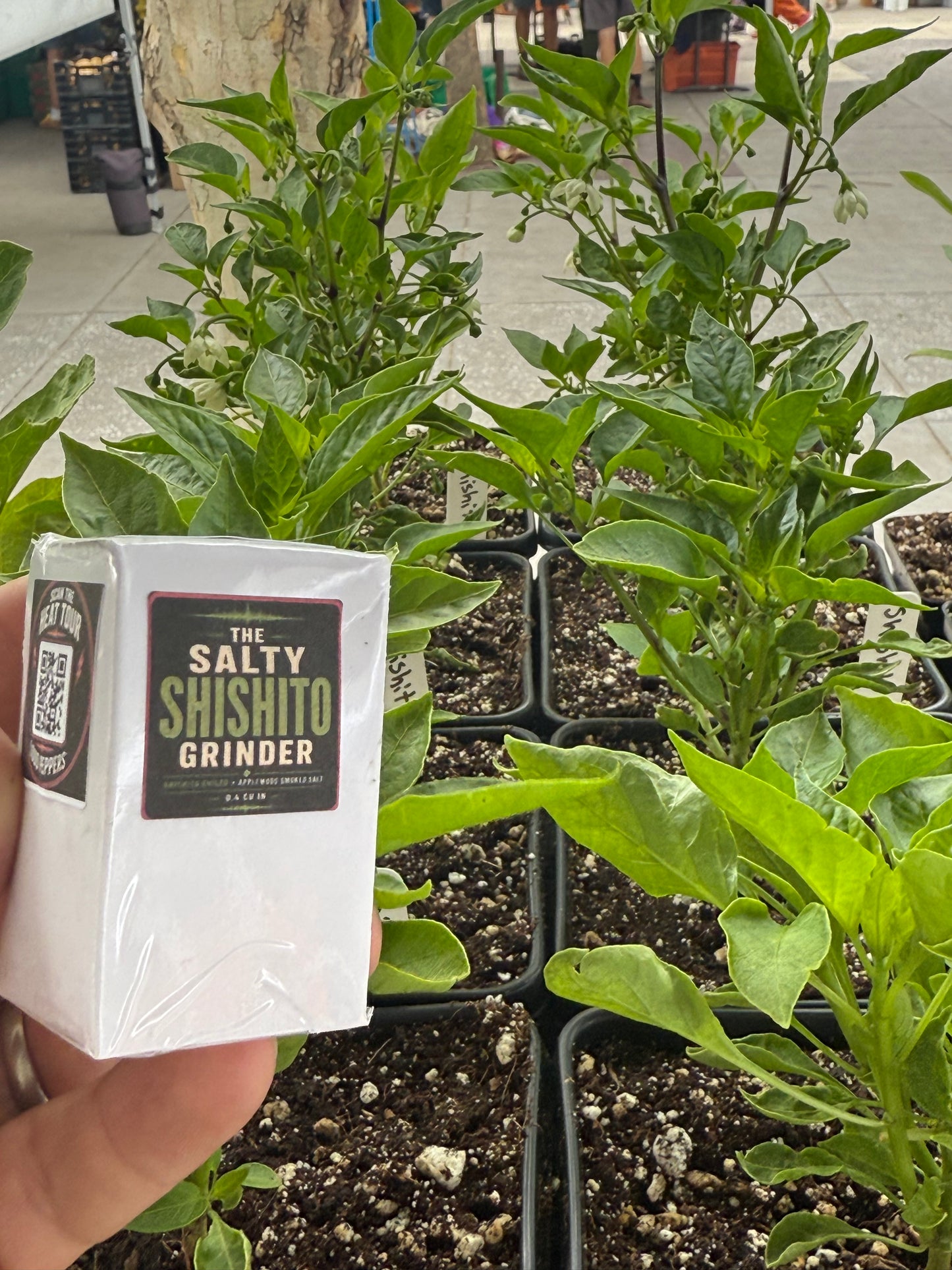 Salty Shishito Chile Grinder