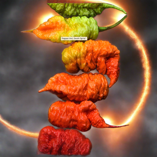 Death Spiral Pepper Plant 3.5" Available Soon