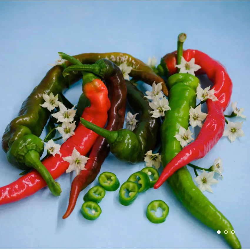 Jimmy Nardello Pepper