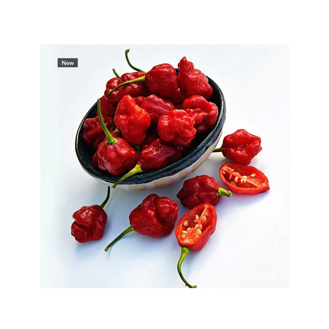 Sweet Moruga Scorpion Pepper Plant 3.5" Available Now!