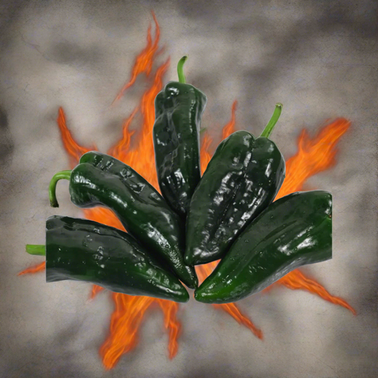 Poblano Pepper Plant Starts 3.5"