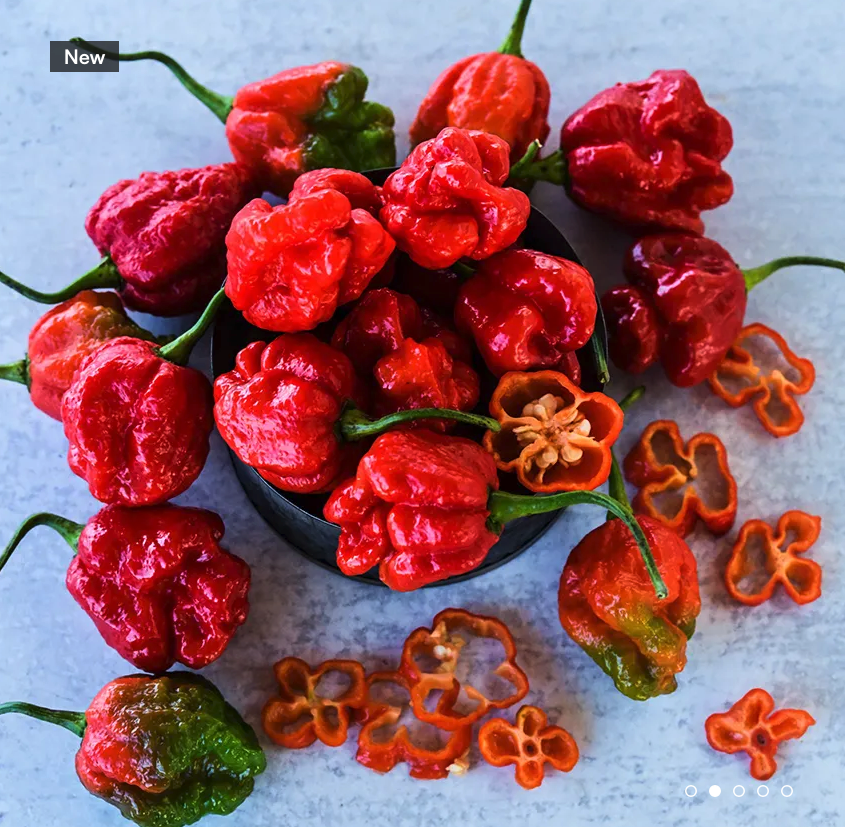 Sweet Moruga Scorpion Pepper Plant 3.5" Available Now!