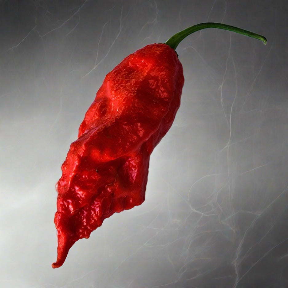 Ghost Pepper Plant 3.5"
